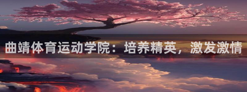 三亿体育网