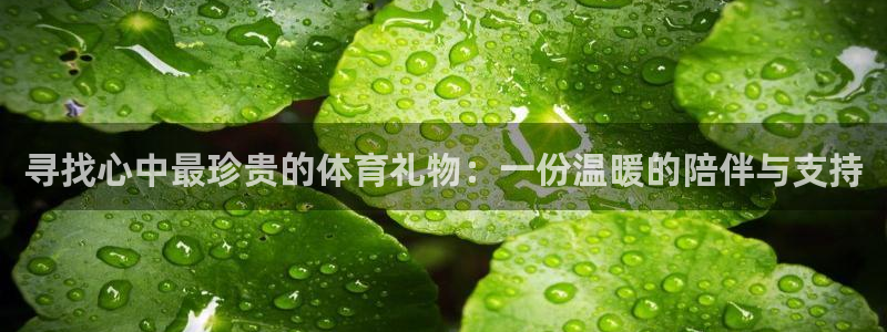三亿体育