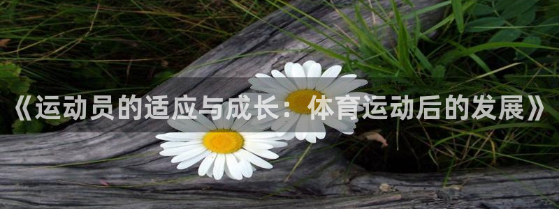 三亿体育网
