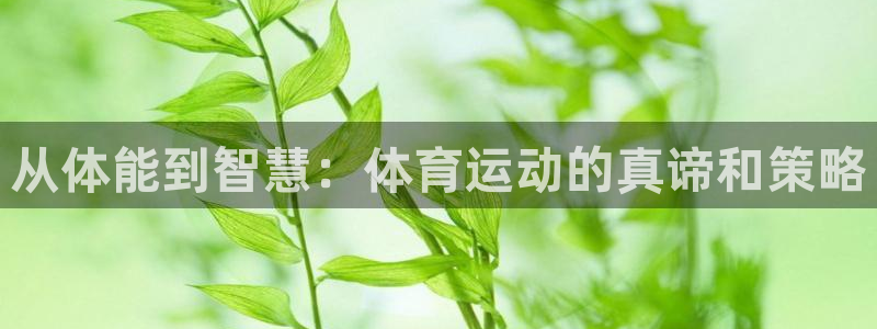 三亿体育