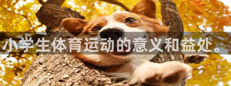三亿体育