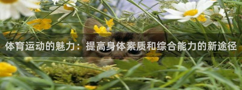 三亿体育登录