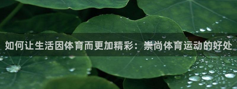 三亿体育