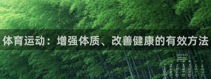 三亿体育