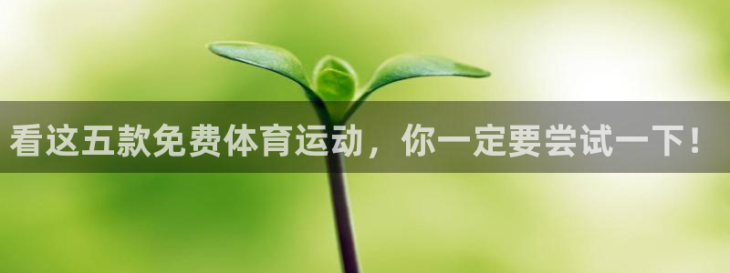 三亿体育
