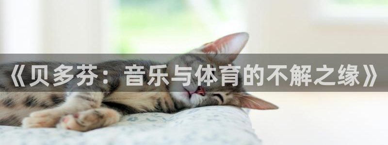 三亿体育网