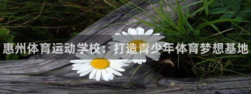 三亿体育登录
