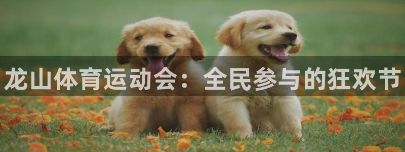 三亿体育网页版
