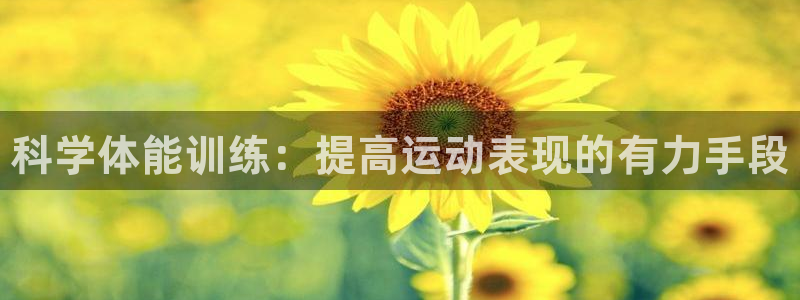 三亿体育