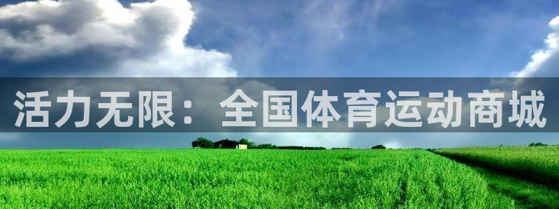 三亿体育网