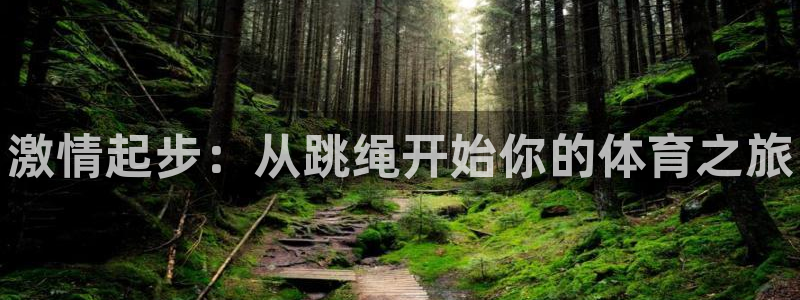 三亿体育