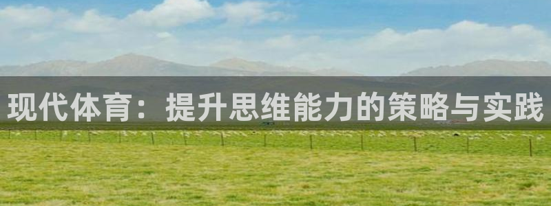 三亿体育网页版