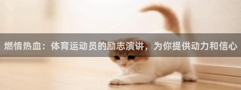 三亿体育
