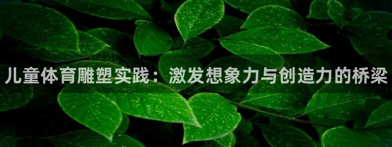 三亿体育