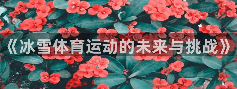 三亿体育网页版