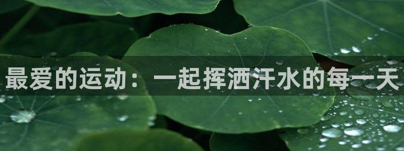 三亿体育