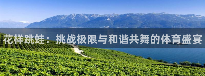 三亿体育网页版