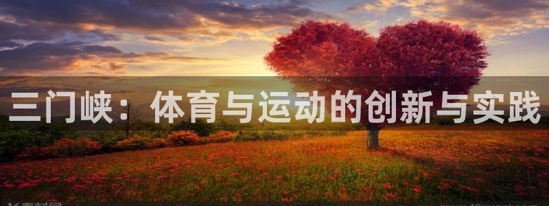 三亿体育网