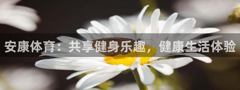 三亿体育网页版