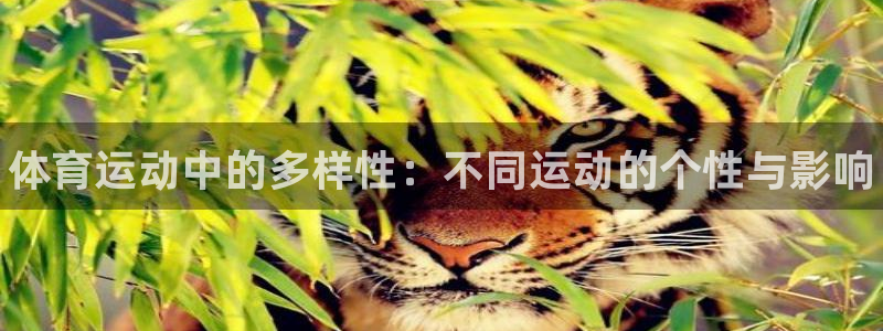 三亿体育网页版