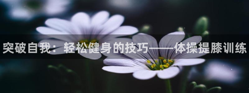 三亿体育