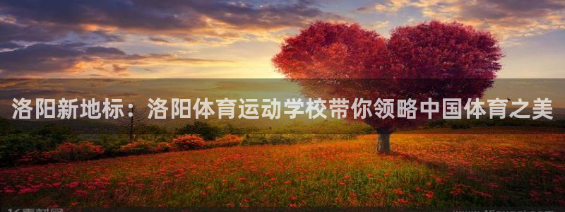 三亿体育网页版