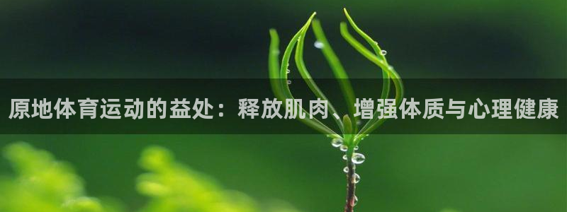 三亿体育网