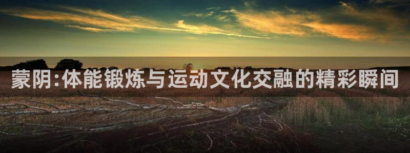 三亿体育网页版