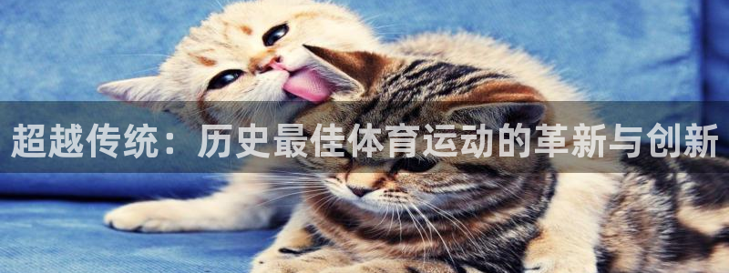 三亿体育网页版
