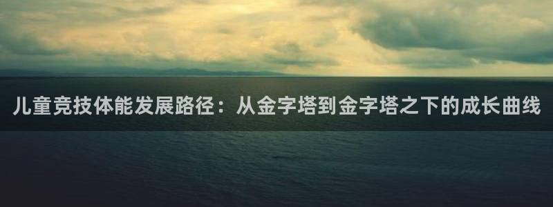 三亿体育网页版