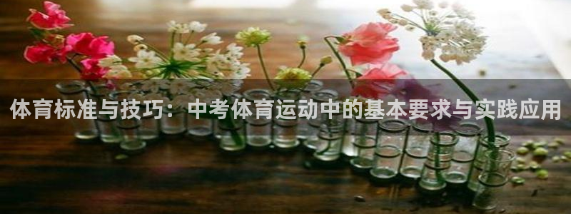 三亿体育