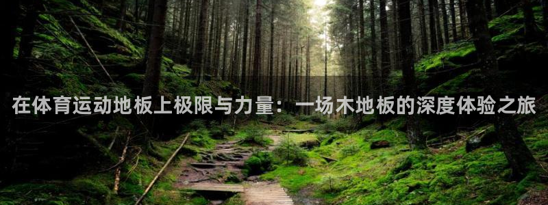 三亿体育登录