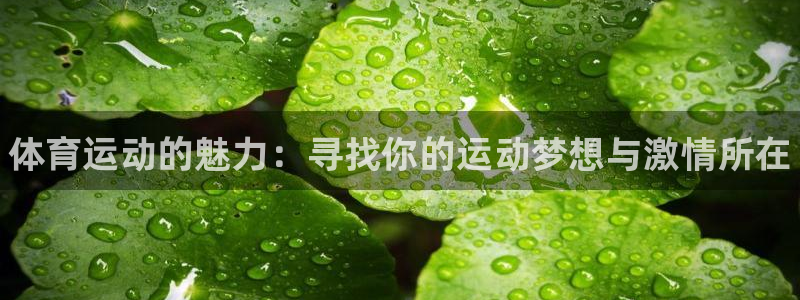 三亿体育登录