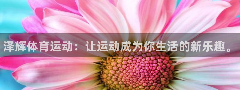 三亿体育网页版