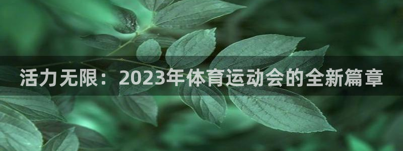 三亿体育网页版