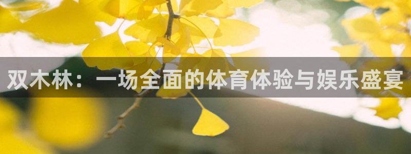 三亿体育网页版