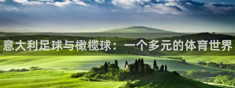 三亿体育