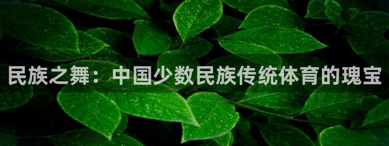 三亿体育