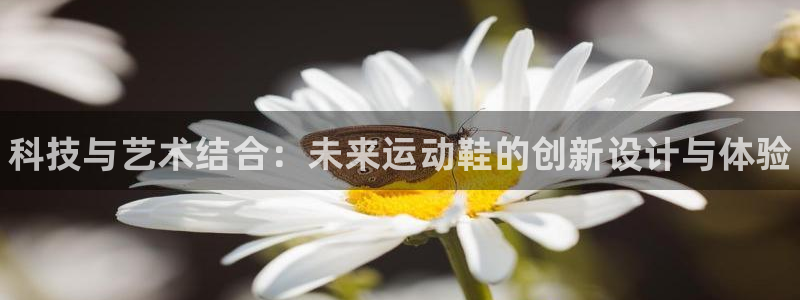 三亿体育网