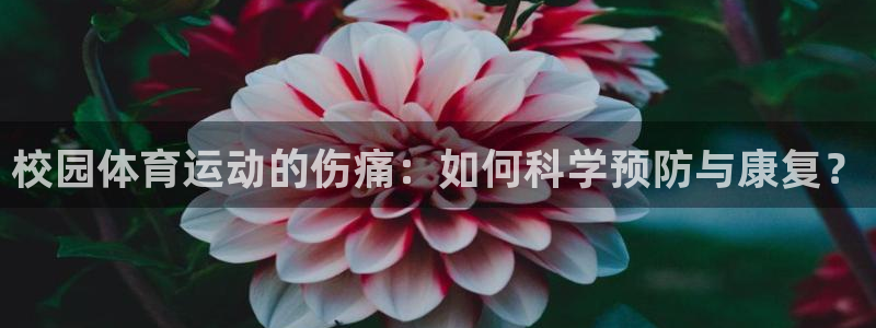 三亿体育网页版