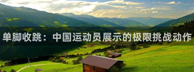 三亿体育