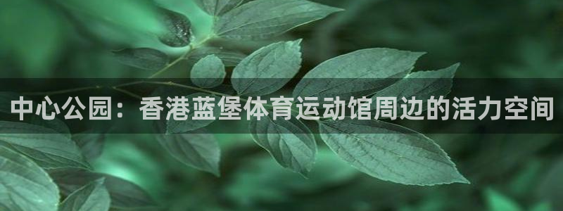 三亿体育登录