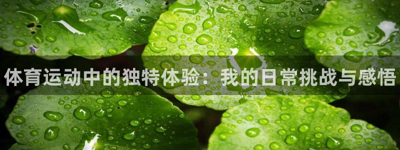三亿体育网
