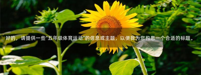 三亿体育网