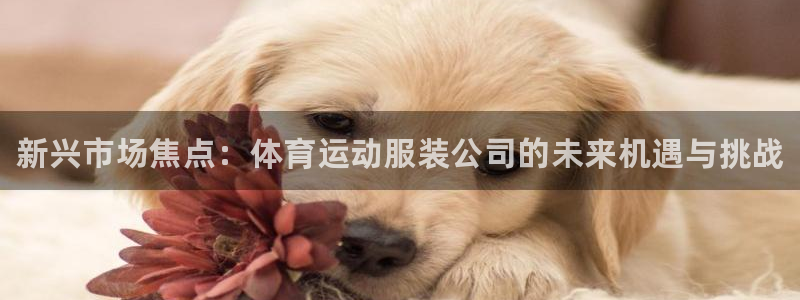 三亿体育