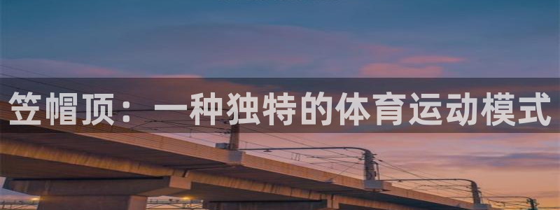 三亿体育网