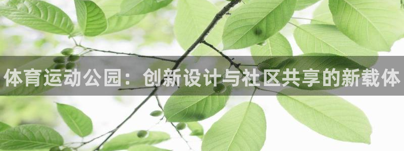 三亿体育网页版