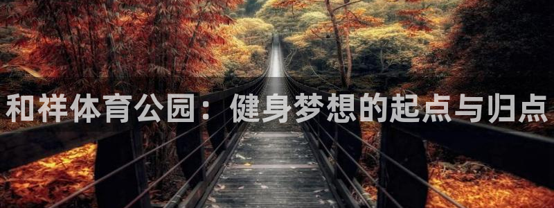 三亿体育网页版