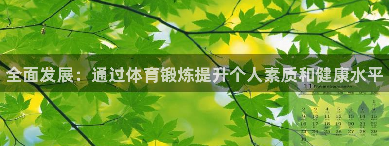 三亿体育网页版