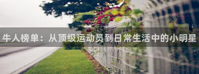 三亿体育登录